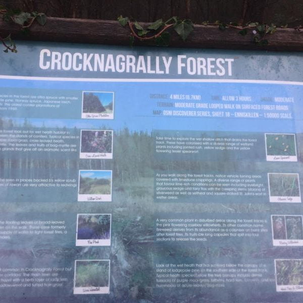 Crocknagrally Forest Sign fermanagh