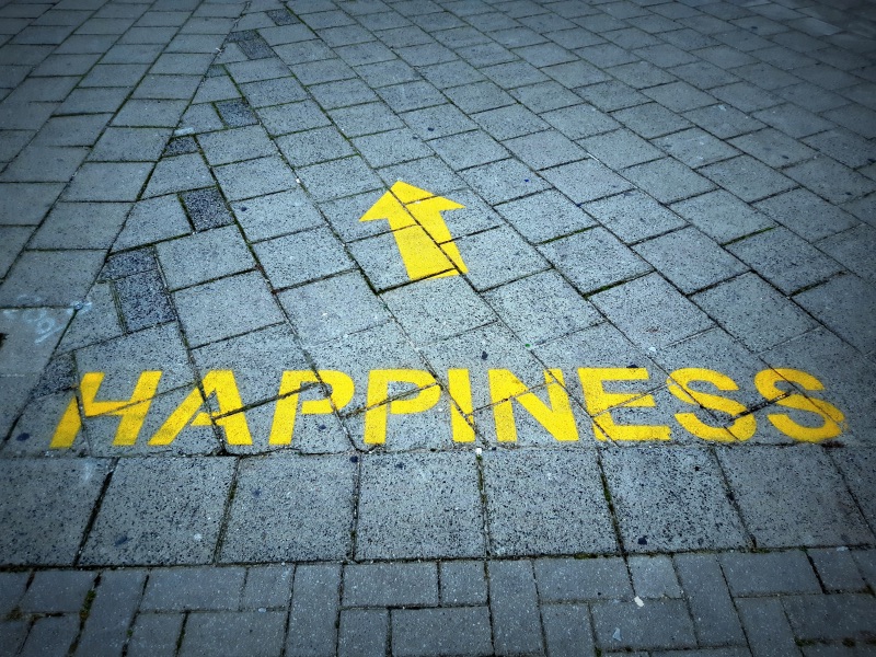 Read more about the article What is Happiness?